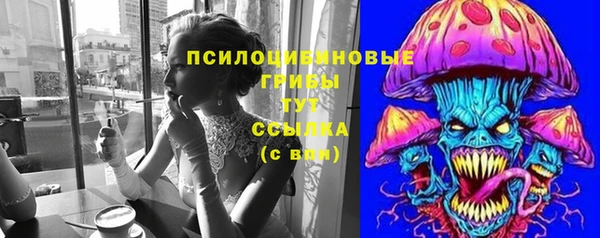 ПСИЛОЦИБИНОВЫЕ ГРИБЫ Ельня