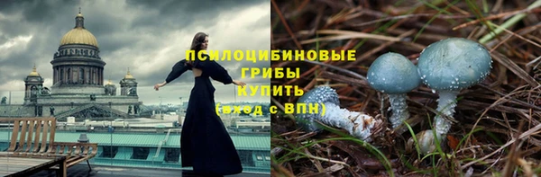 тгк Елизово