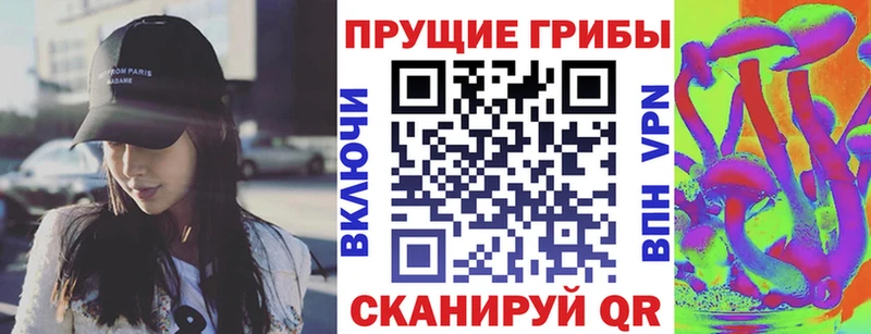 Псилоцибиновые грибы MAGIC MUSHROOMS  Купить закладки  Курильск 
