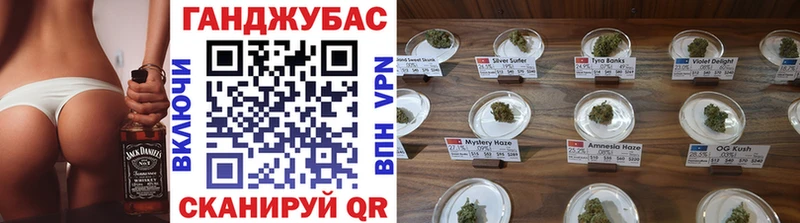 Купить закладки  Курильск  Марихуана сатива 